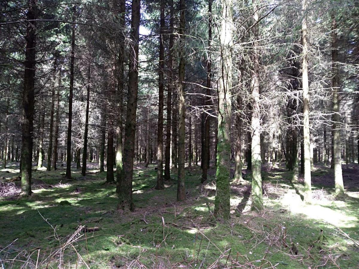 Oh Deer! Apartment Vaux-sur-Sure Екстериор снимка