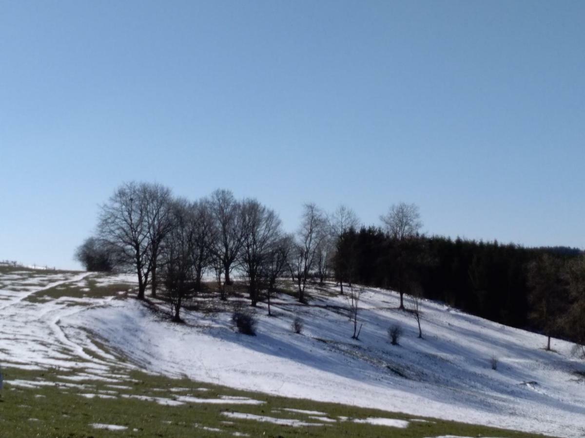 Oh Deer! Apartment Vaux-sur-Sure Екстериор снимка